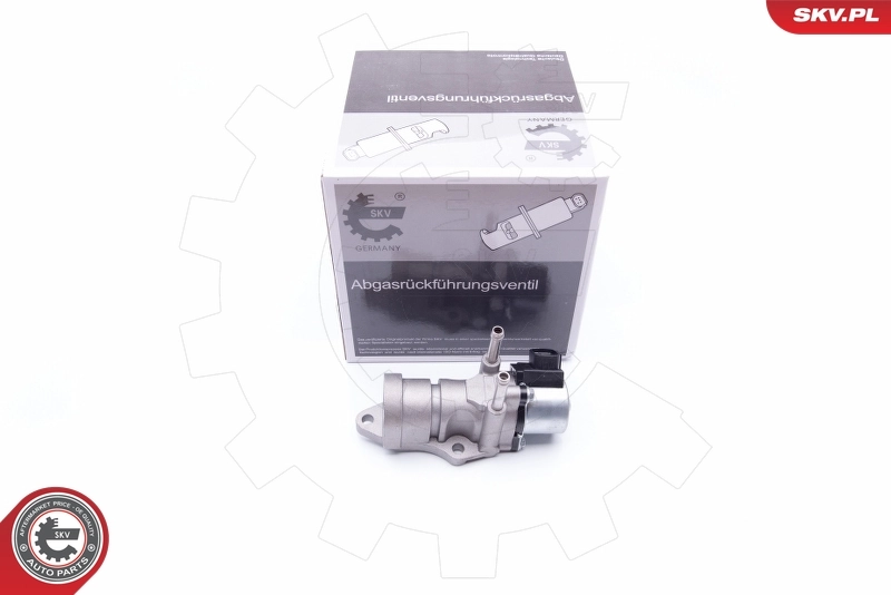 EGR Valve